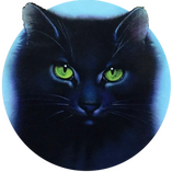 An image of Hollyleaf from warrior cats, taken from the cover of one of the books.